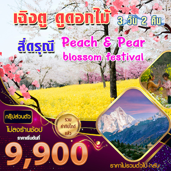 ทัวร์เฉิงตู สี่ดรุณี ตูเจียงเยี่ยน [เทศกาลดอกท้อ ดอกสาลี่ ทุ่งดอกคาโนลา] 3 วัน 2 คืน